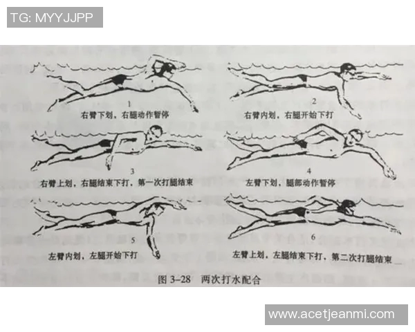 自由泳技巧提升常见错误解析与纠正方法全面指南