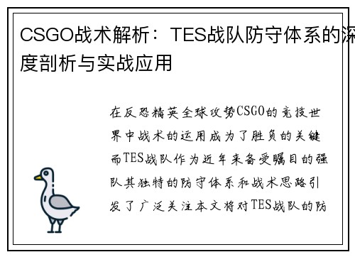 CSGO战术解析：TES战队防守体系的深度剖析与实战应用